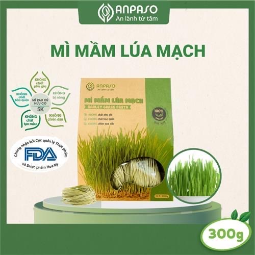 Mì Mầm Lúc Mạch Organic Anpaso 300g