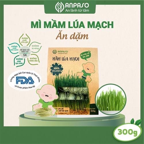 Mì mầm lúa mạch ăn dặm Organic Anpaso