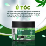 Kem ủ chăm sóc tóc chuyên sâu, phục hồi hư tổn- Cannabis Hair